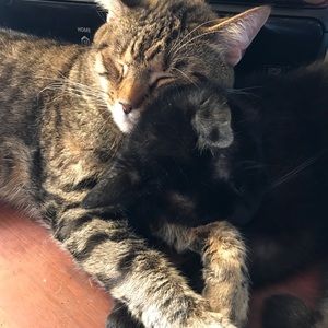 Meet your Posher, Kim